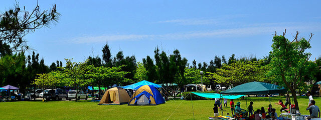 キャンプ場